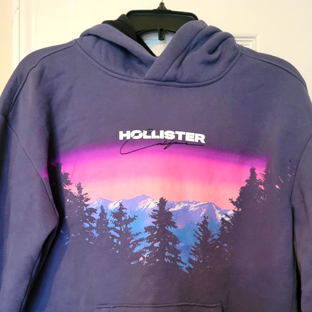 Hollister hooded sweatshirt